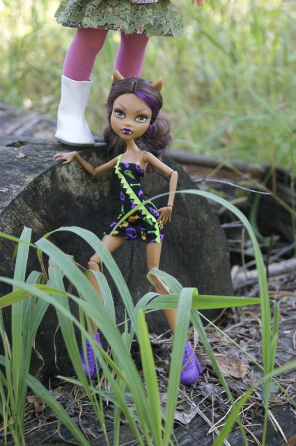 Как Лиу и Клодин за грибами ездили