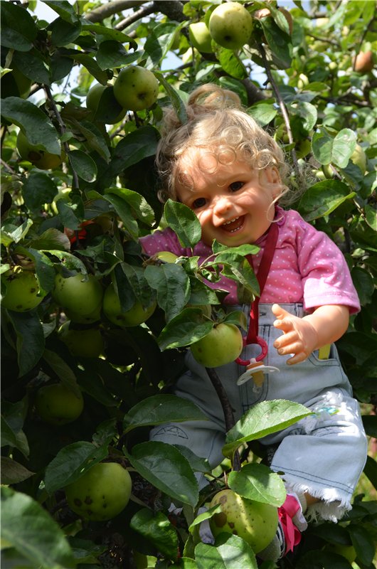 Лето прошло, а фоточки остались