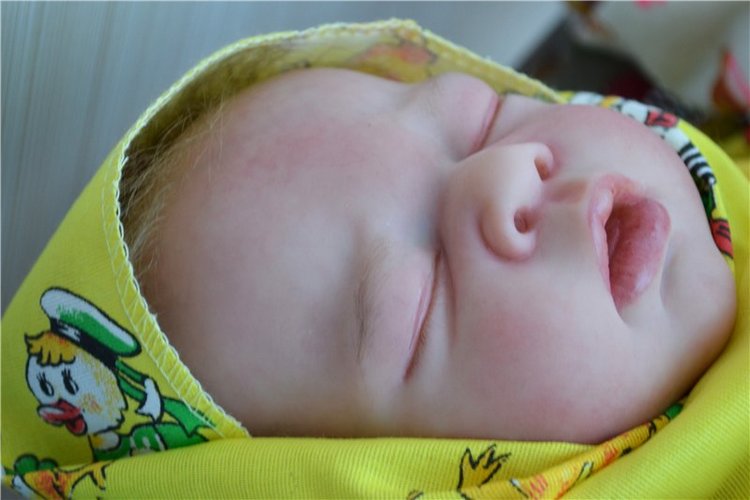 Сонное царство. Куклы реборн Пшеницыной Юлии (фото 10)