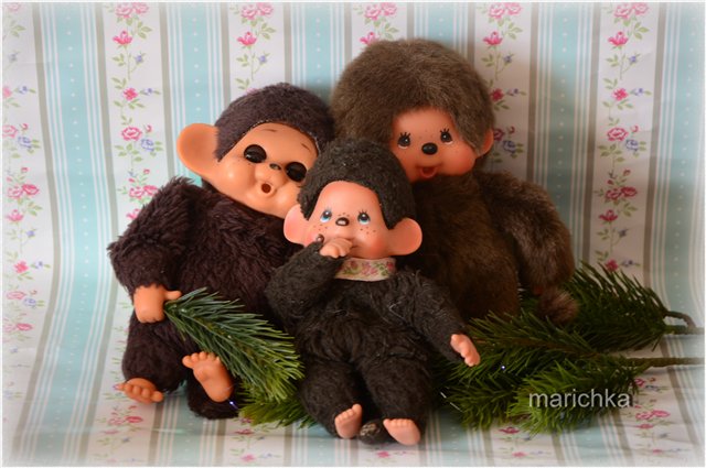 Год огненной обезьяны — Болталка и разговоры обо всем: жизнь