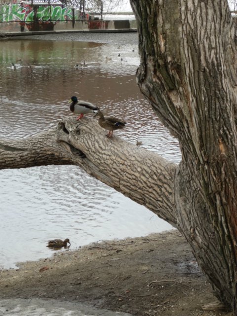 Прогулка с Лилей Annette Himstedt