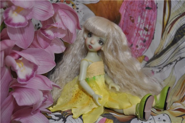 Пополнение в семействе Коричек-KW Cinnamon Green Elf!Седьмой тиник от Кайи и первый эльфик с копытцами) | Бэйбики Пополнение в семействе Коричек-KW Cinnamon Green Elf!Седьмой тиник от Кайи и первый эльфик с копытцами) (фото 8)