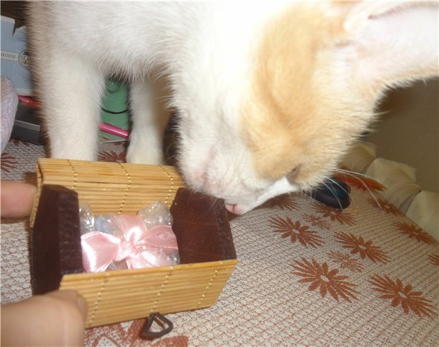 7 см счастья | Бэйбики 7 см счастья — Одежда и обувь для кукол своими руками: фото (фото 5)