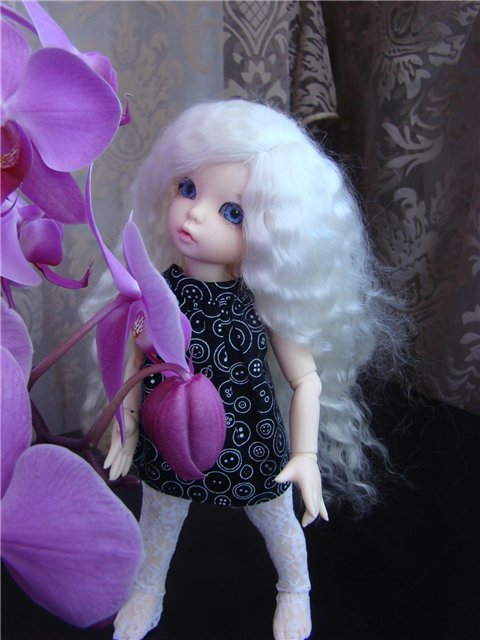Ангелы и Розы — Куклы Fairyland (ФэйриЛэнд): BJD (БЖД) (фото 6)