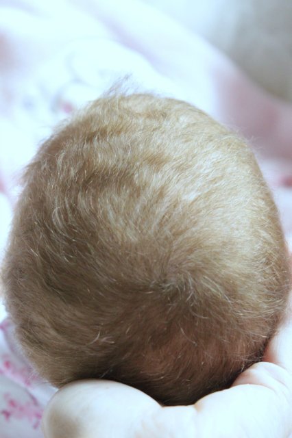 Розана - цветочек, роза... Куколка реборн Виктории Вишни