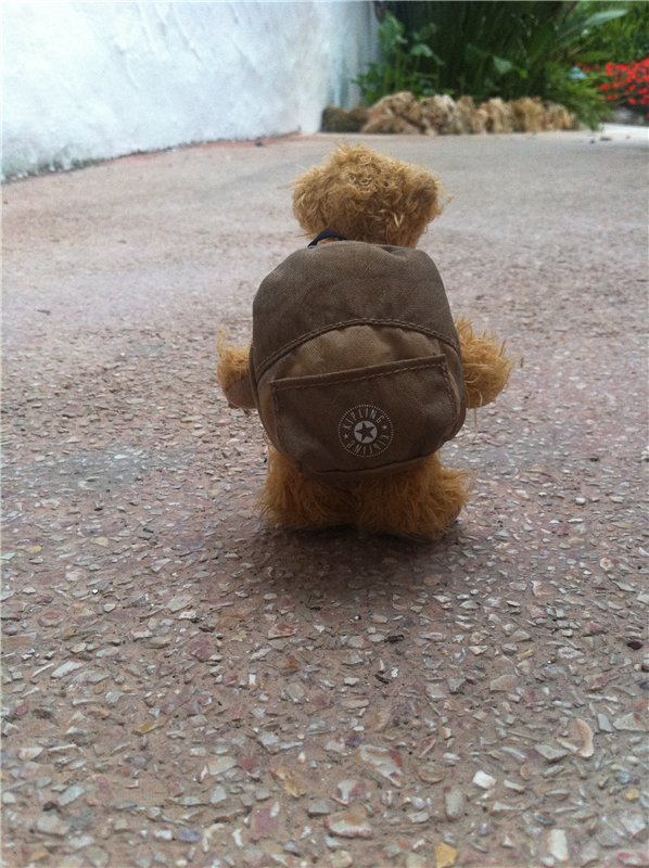 Большое путешествие маленькой девочки. Kaye Wiggs, Nutmeg