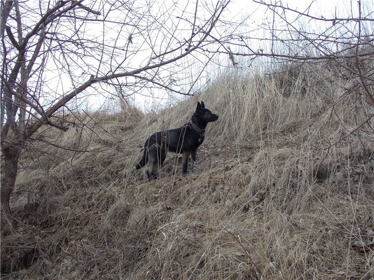 Гелькина прогулка (кукла Готц)