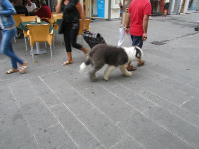 "Моя Италия". Часть 3 - Виареджо, Лукка, Пиза