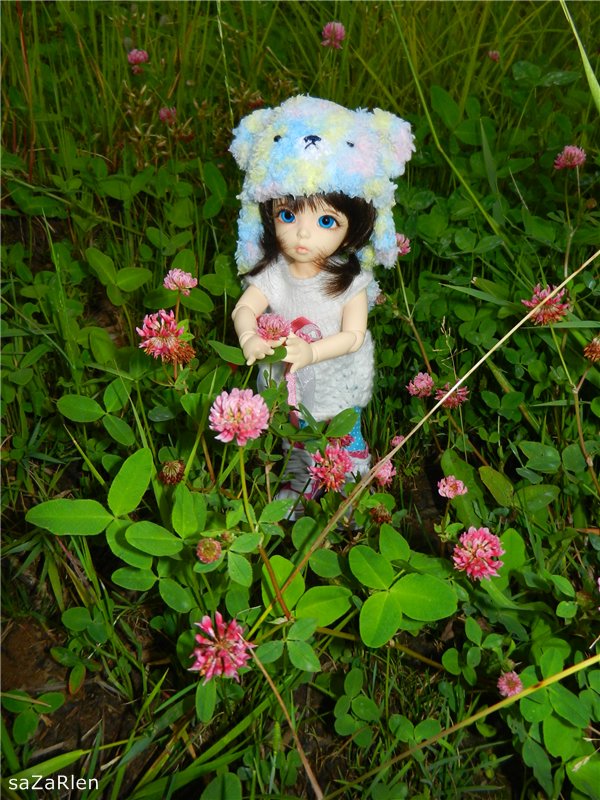 Варвара путешевственница (Литтлфи Анте)