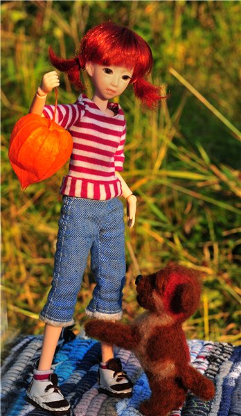 Женькин август — Куклы и тела Obitsu (Обитсу): 1/6 (фото 4)