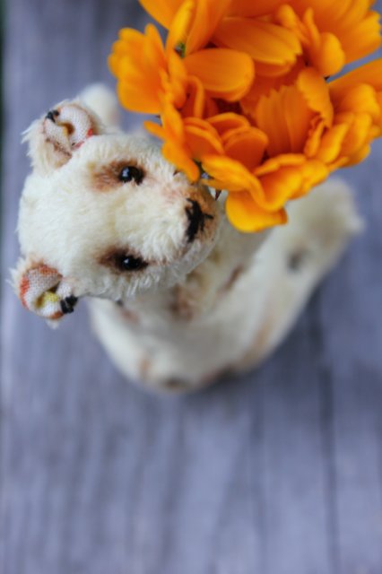 Летний карманный мишка тедди (фото 4)