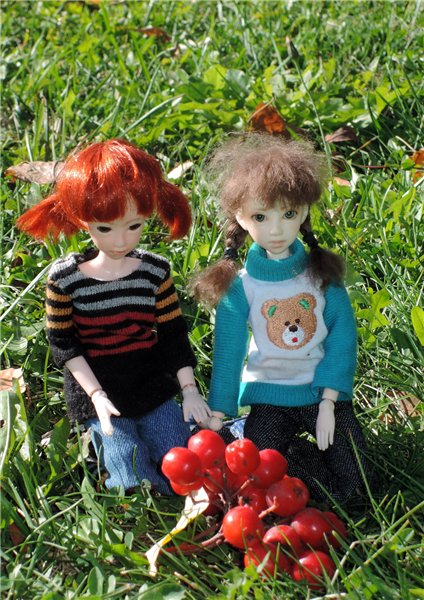 Рябиновый день — Куклы и тела Obitsu (Обитсу): 1/6