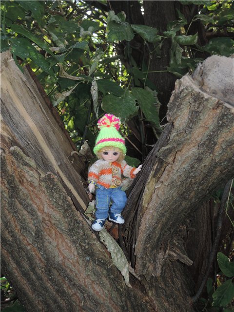 Дилька ищет дом (часть первая) (фото 2)