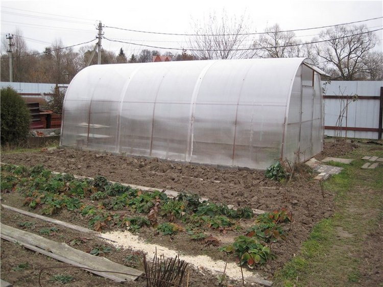 Кирюша. Игровой испанский малышок, фирма Arias