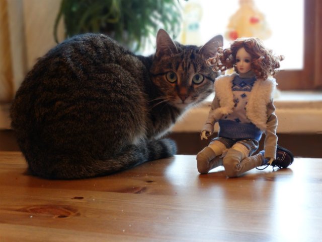 Souldoll Little Metel на прогулке (фото 4)