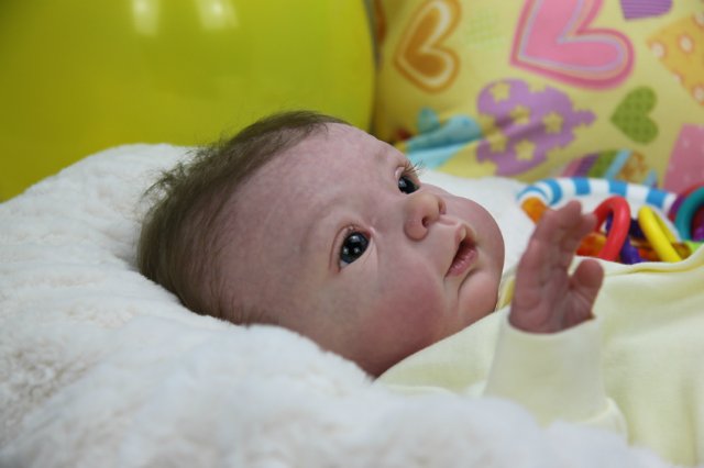 Софийкин! Кукленок реборн Виктории Вишни