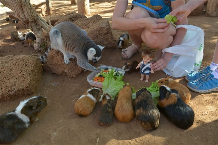 Испания. Тенерифе. Часть 1