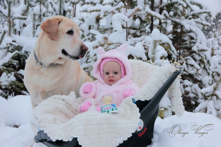 Моя Хлоя, мой любознательный Совенок, кукла реборн Олеси Венгер