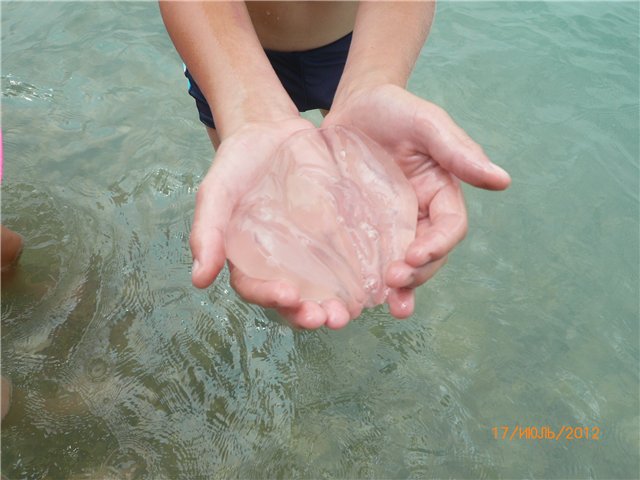 Сосенка Пин. Отпуск — Разные куклы BJD (БЖД): редкие бренды