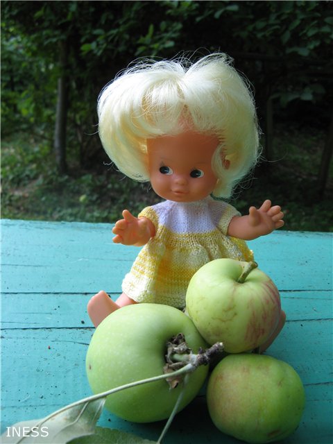 Поездка на дачу — Винтажные куклы ГДР (Немки): Бигги (фото 5)