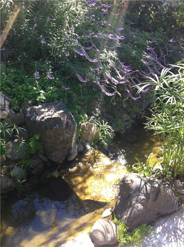 Большое путешествие маленькой девочки. Kaye Wiggs, Nutmeg