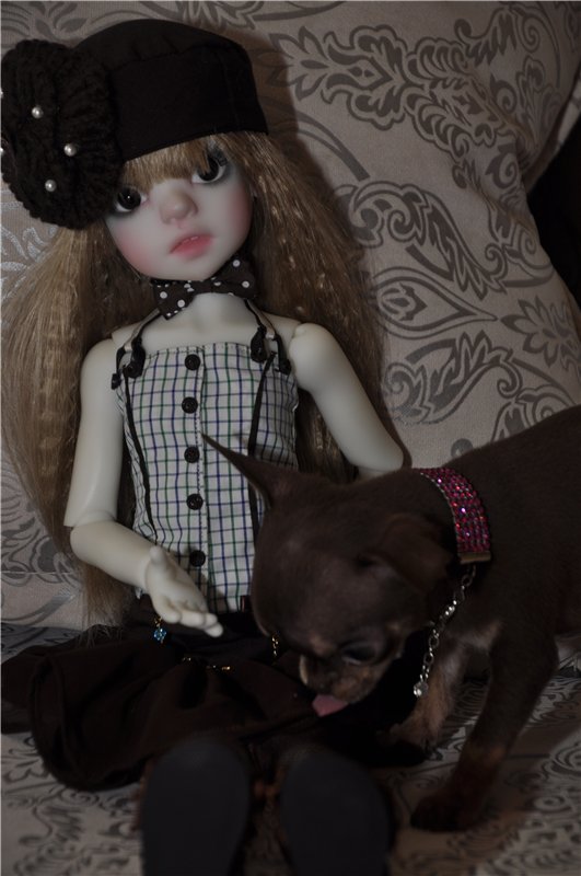 Приехала моя первая МСД девочка Иззи. Хотим познакомиться (фото 10)