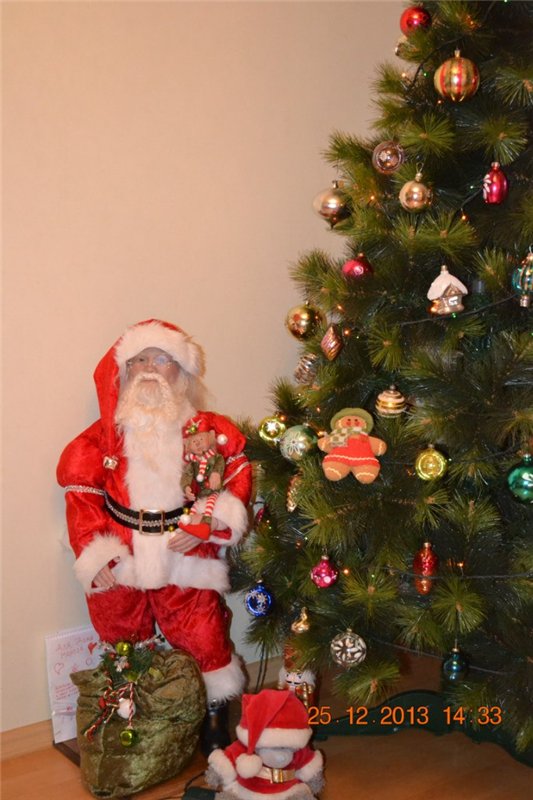 Ко встрече Нового Года готовы)