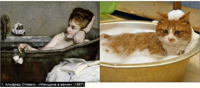 «Мяу» особого назначения или Весенняя кошкотерапия