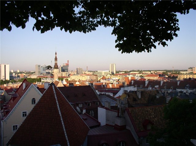 Средневековый Таллинн-город живой истории