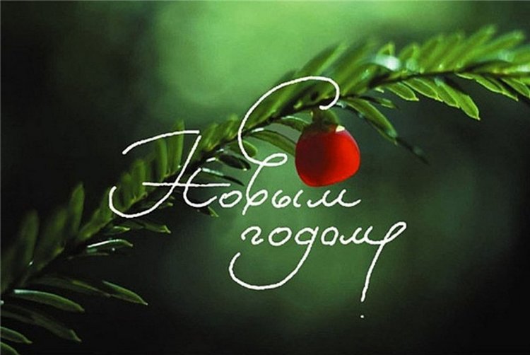 Новогодний подарочек. Кукла реборн Шутовой Анны