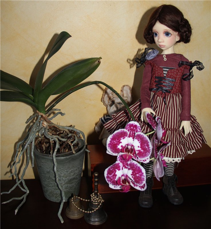 Милые девочки от Лиз Фрост