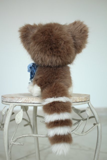 Голубоглазый котик-обормотик Мишка (фото 4)