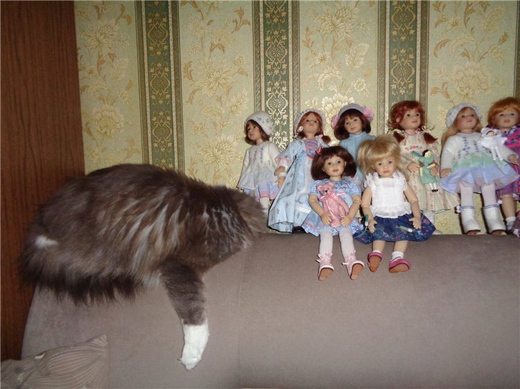 Я их посчитала... Коллекция виниловых кукол от Heidi Plusczok, часть 2