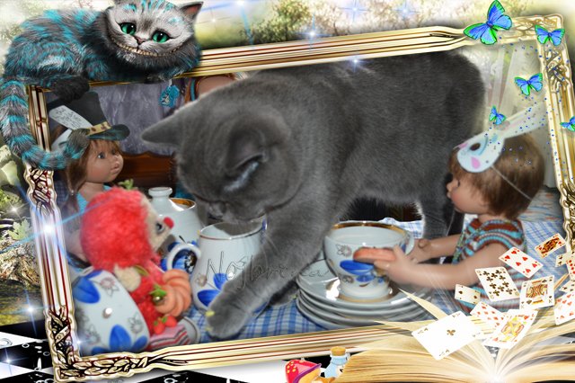 Глава, в которой пьют чай как ненормальные. Кукла Gotz Ханна с собачкой 2013