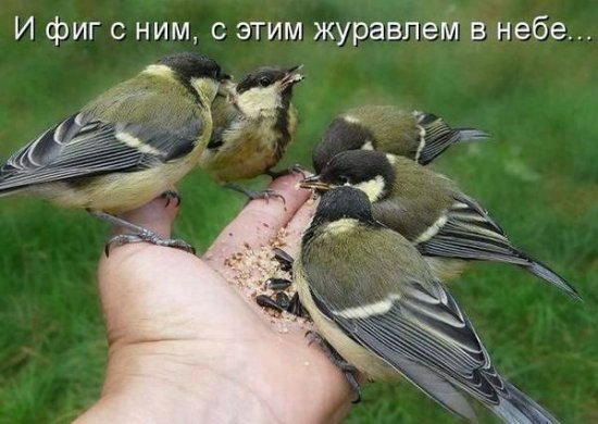 Просто добавь улыбку или пятничный девиз