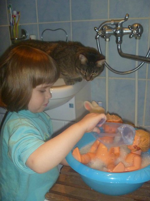 Моего кота не волнуют конкурсы, он просто любит фотографироваться (фото 7)