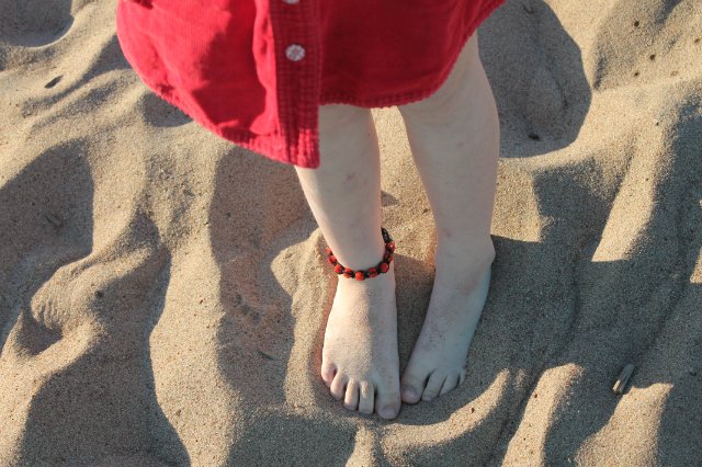 Парк 300-летия Петербурга. Летняя прогулка с Мишелем. Очень много фото