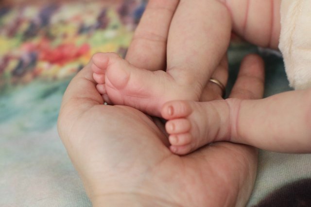 Чудо в перьях, кукла-реборн Элины Кудрявцевой