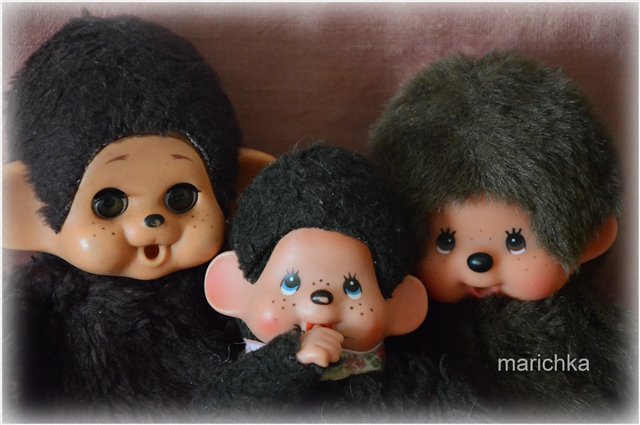 Год огненной обезьяны — Болталка и разговоры обо всем: жизнь