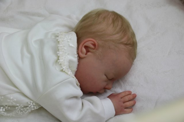 Ноашечка. Куколка реборн Виктории Вишни