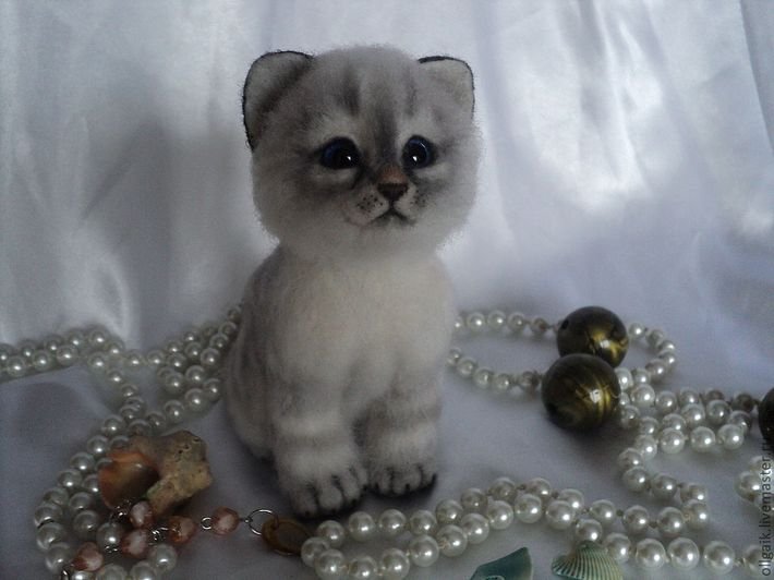 Ты откуда появился маленький (фото 2)