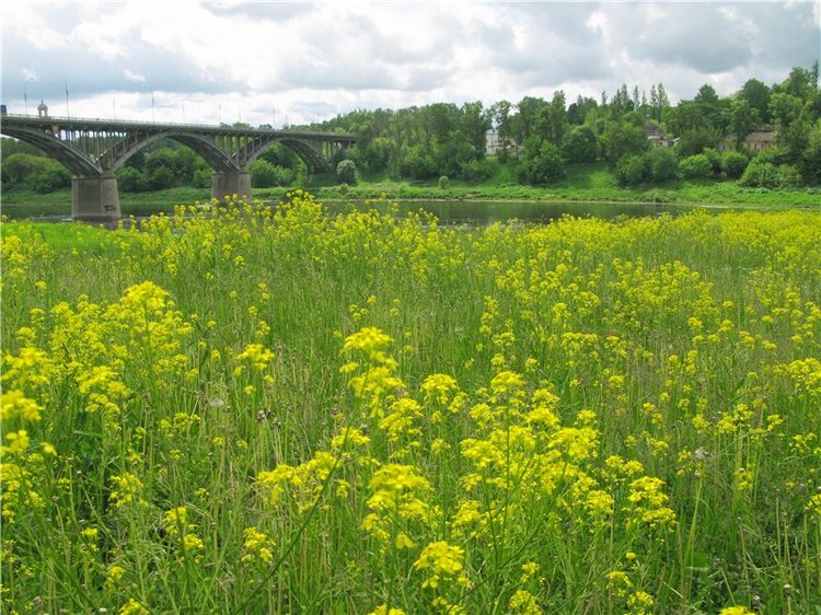 46-ой Пушкинский праздник поэзии в Берново. Часть вторая