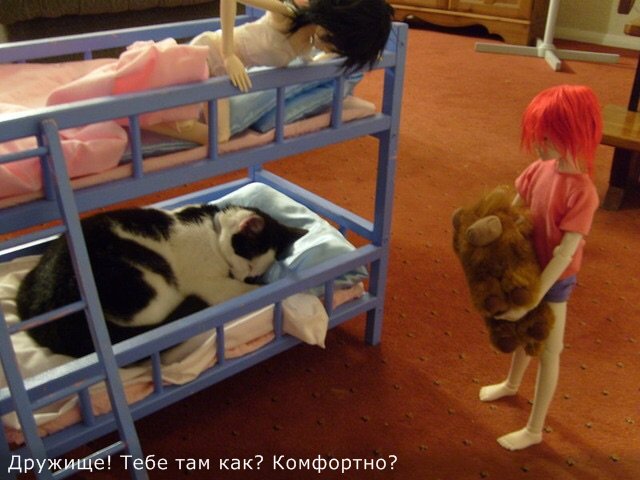 Забавная подборка котики и куклы! Присоединяйтесь