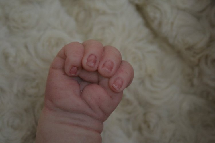 Моя ягодка Джиллиан. Кукла реборн Анастасии Яворской