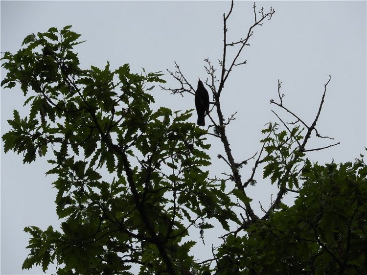 Любителям маленьких кукол