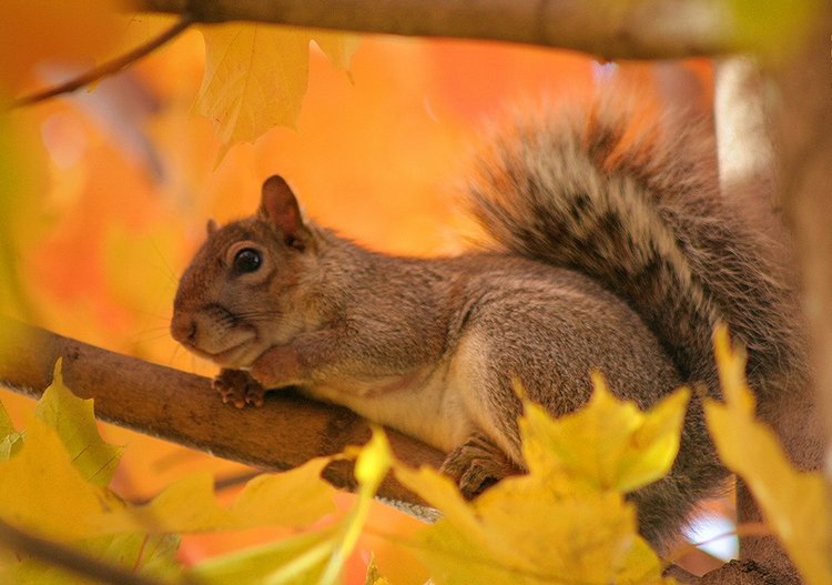 Красотка-осень — Болталка и разговоры обо всем: жизнь (фото 2)