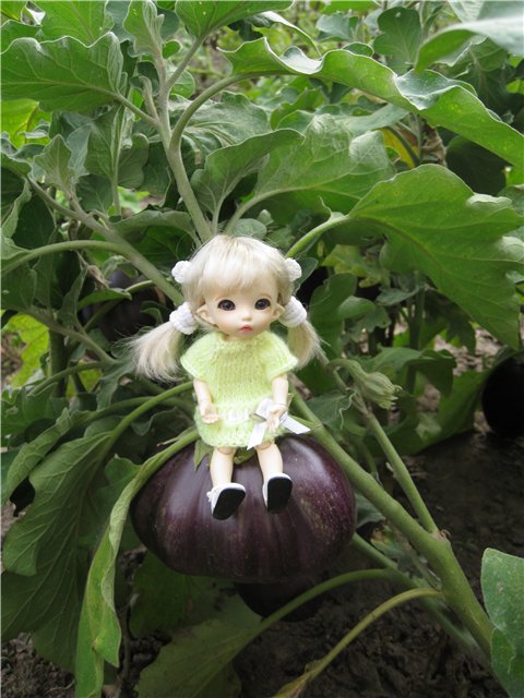 Маленькая дачница! Пукифи Анте Элис | Бэйбики Маленькая дачница! Пукифи Анте Элис