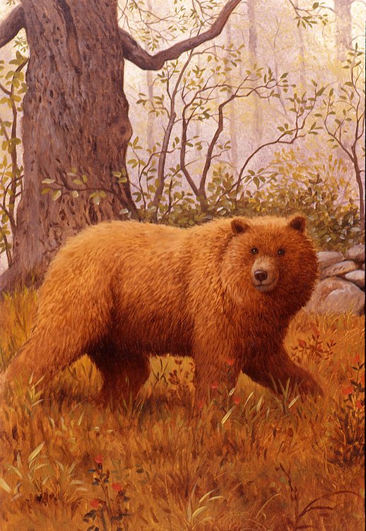 Сказочный мир Рут Сандерсон (Ruth Sanderson)