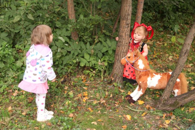 Кукловстреча в Царицыно — Встречи коллекционеров кукол (кукловстречи): анонсы