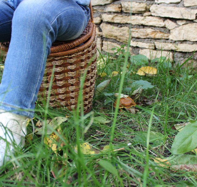 Весь день стоит как бы хрустальный, и лучезарны вечера... Куклы реборн Елены Ядриной